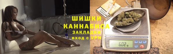МДПВ Заводоуковск