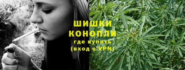 стафф Заволжье